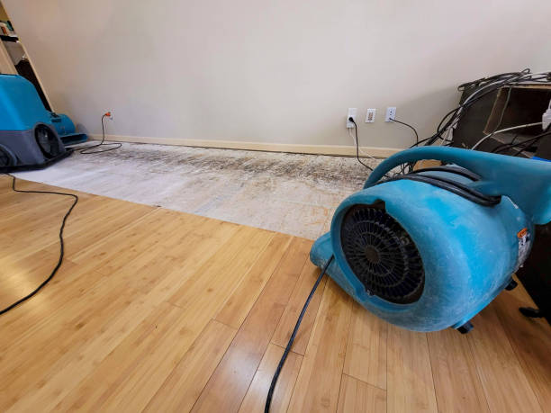 Professional Water Removal technician working in Belleville, MI